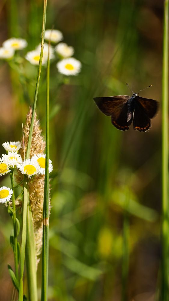 Photograph by Никита Ермаков