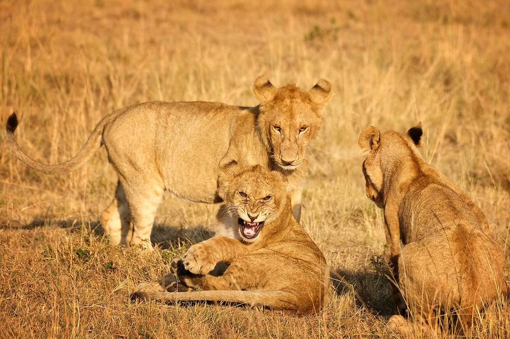 Photograph by Ирина Худзинская