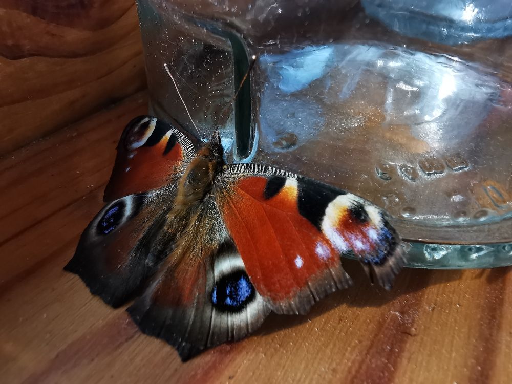 Photograph by Людмила Орловская