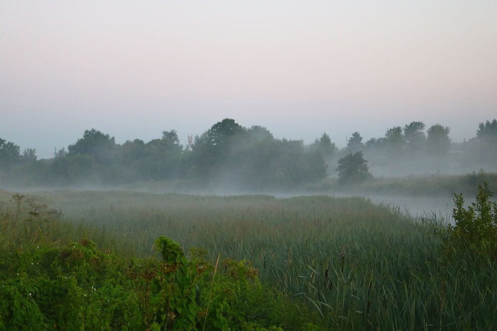 Photograph by Светлана Шуткова