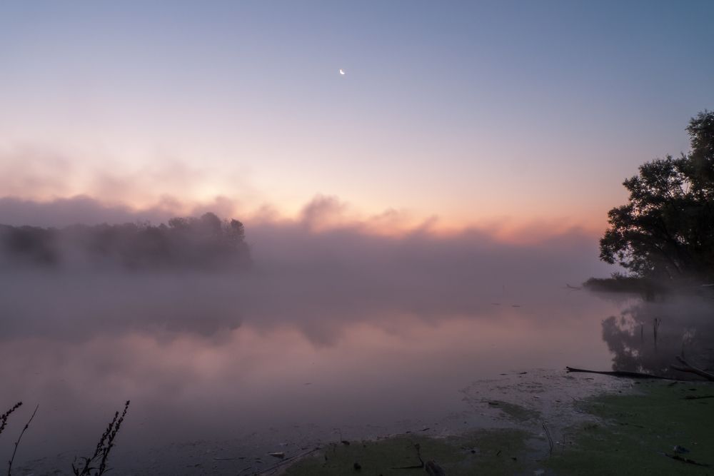 Photo #9169675
