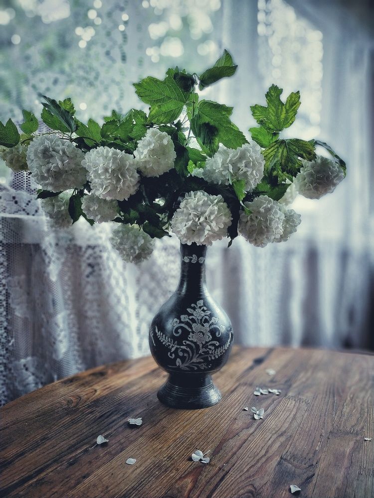 Photograph by Ольга Мартьянова