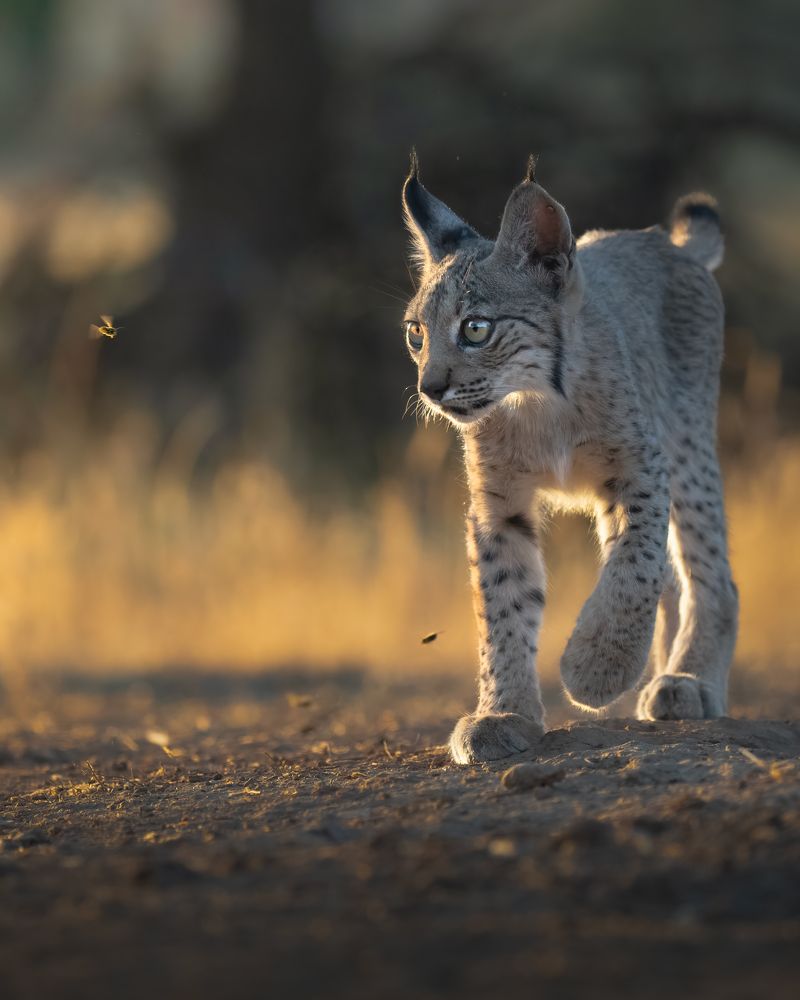 Photograph by Alexandra Surkova