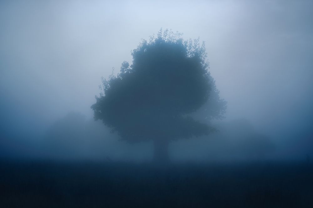 Photograph by Andrzej Breur