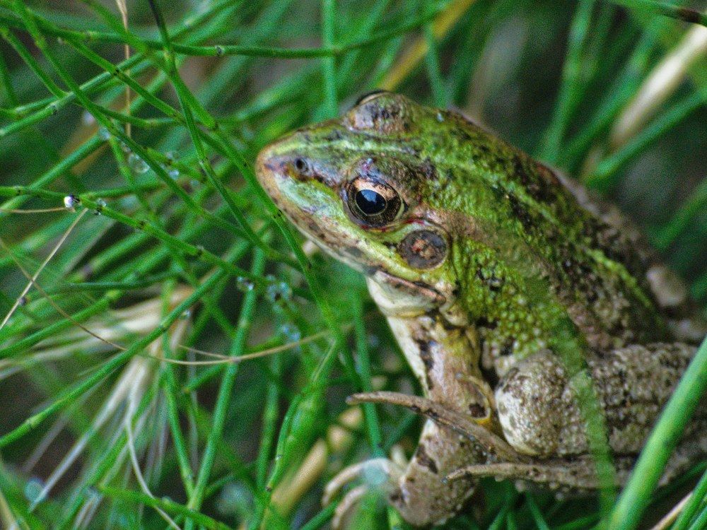 Фотография автора Jorge Herraiz