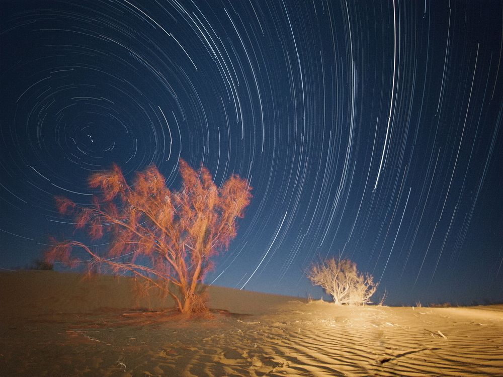 Photograph by Mahdi Reihani Bozorg