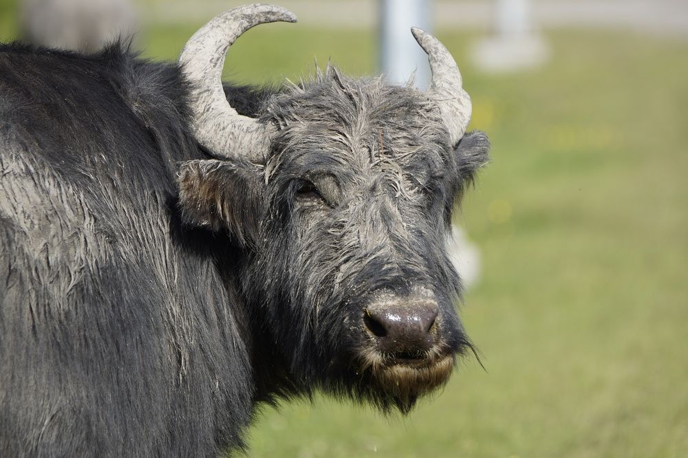 Photograph by Алексей Миронов