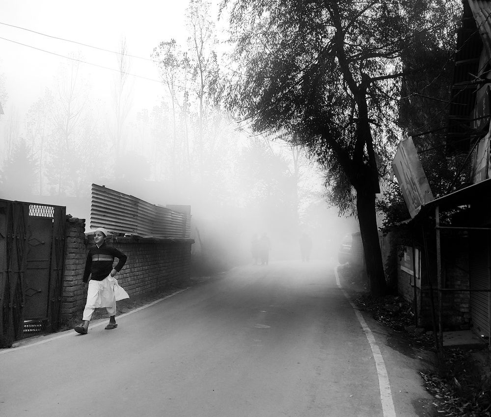 Photo #9169810