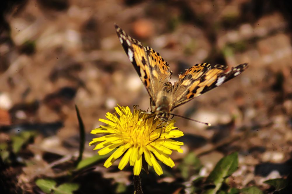 Photograph by миша