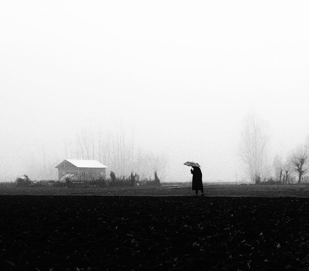 Photo #9169820