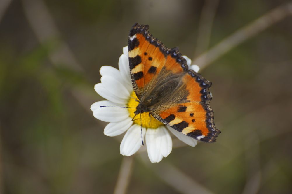 Photograph by Алексей Миронов