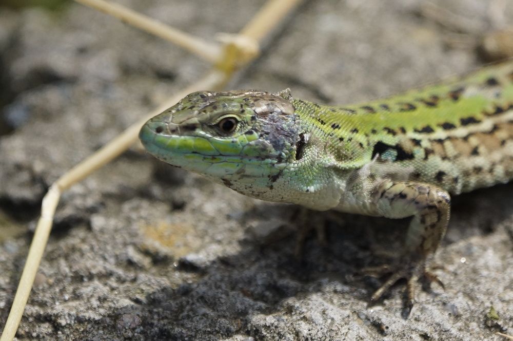 Photograph by Алексей Миронов