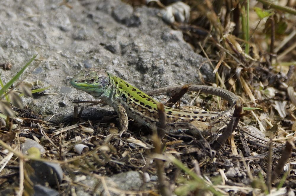 Photograph by Алексей Миронов