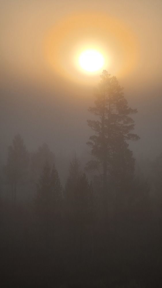 Photograph by Алексей Миронов