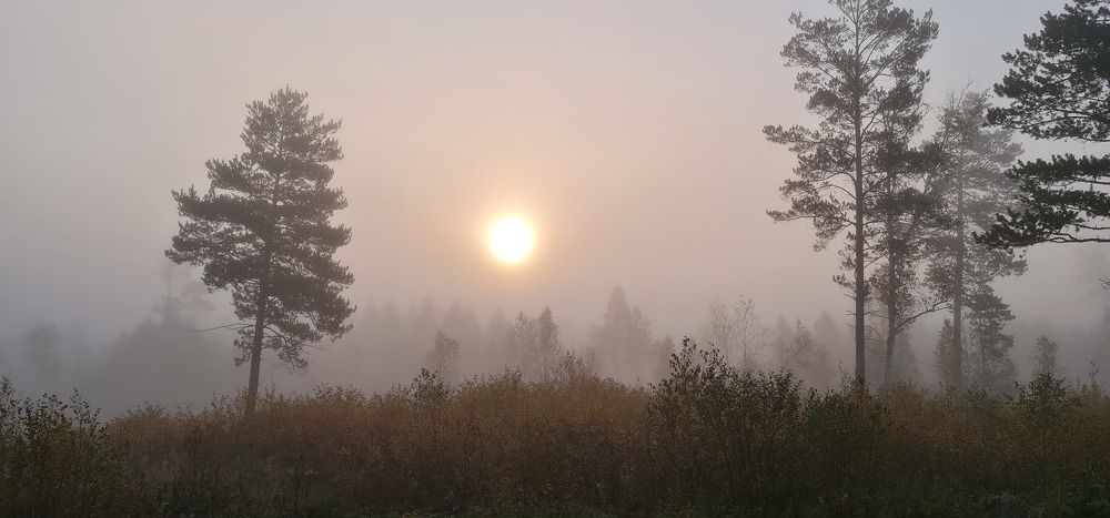 Photograph by Алексей Миронов