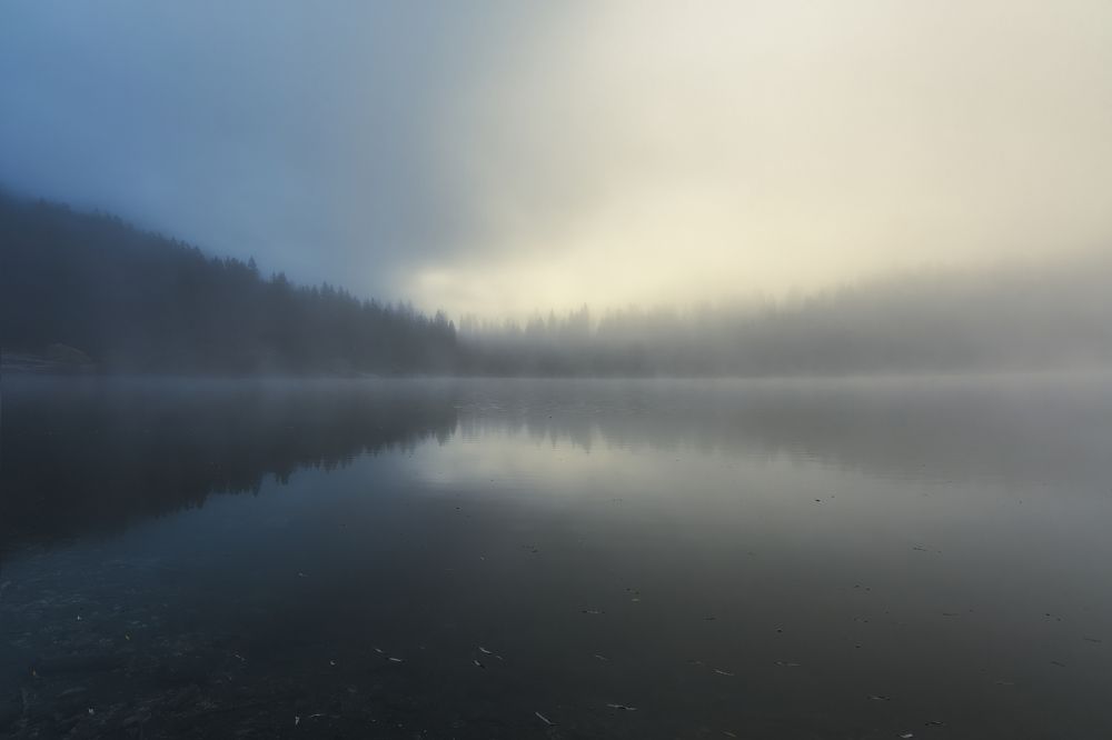 Photograph by Sara Jazbar