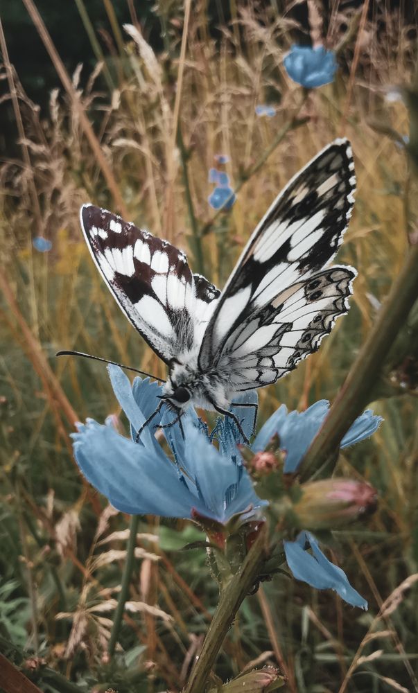 Фотография автора Геннадий Ломеко