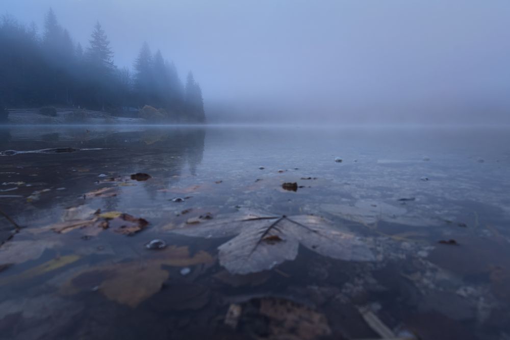 Photograph by Sara Jazbar