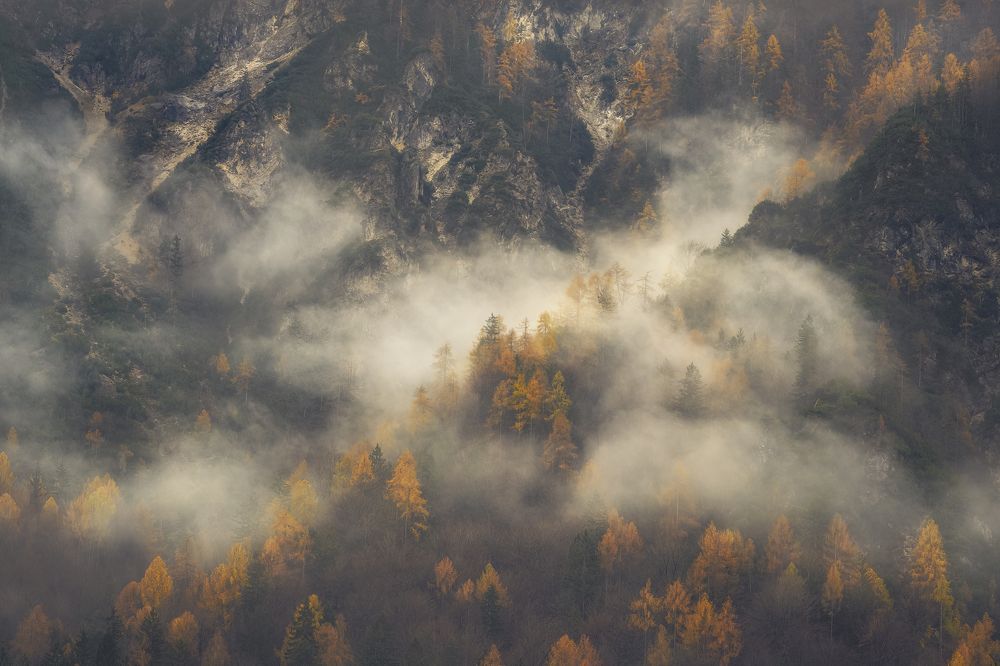 Photograph by Sara Jazbar