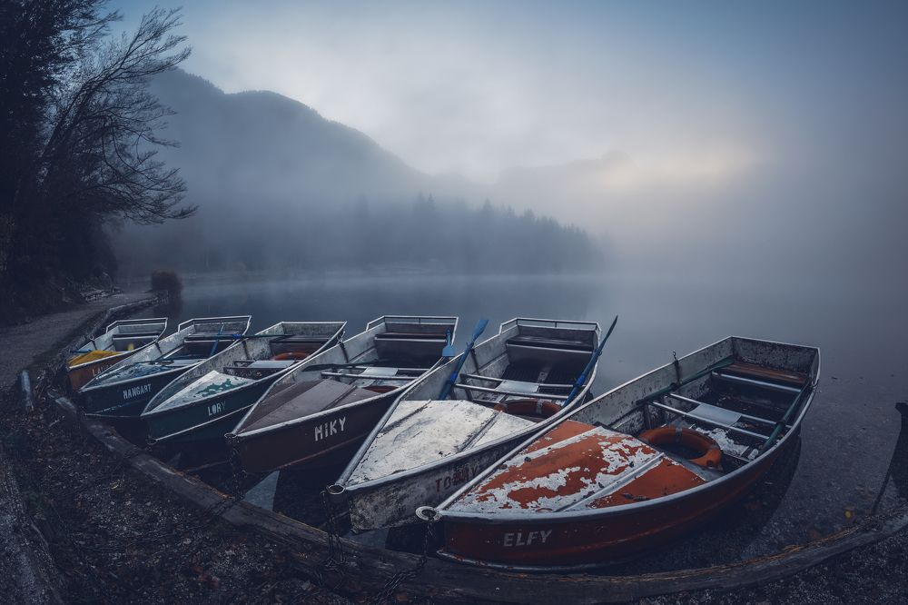 Photograph by Sara Jazbar