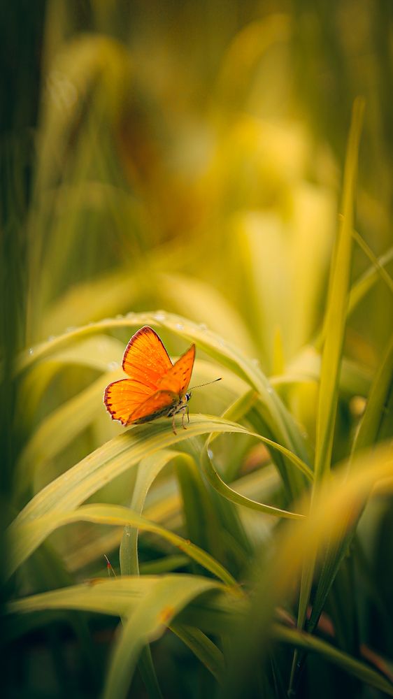 Photograph by Константин Никитин