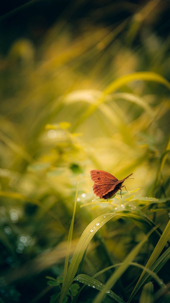 Photograph by Константин Никитин