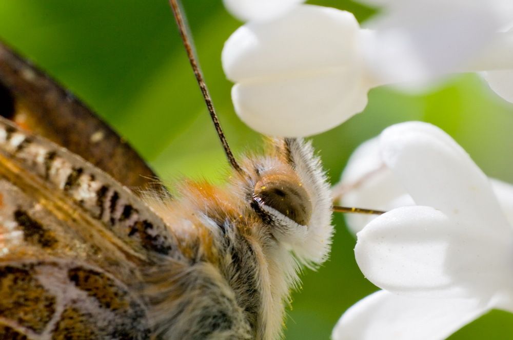 Photograph by Роман Приходько