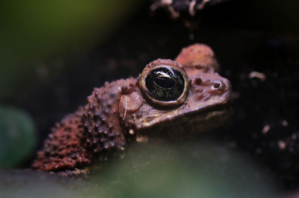 Photograph by Ирина Салминен