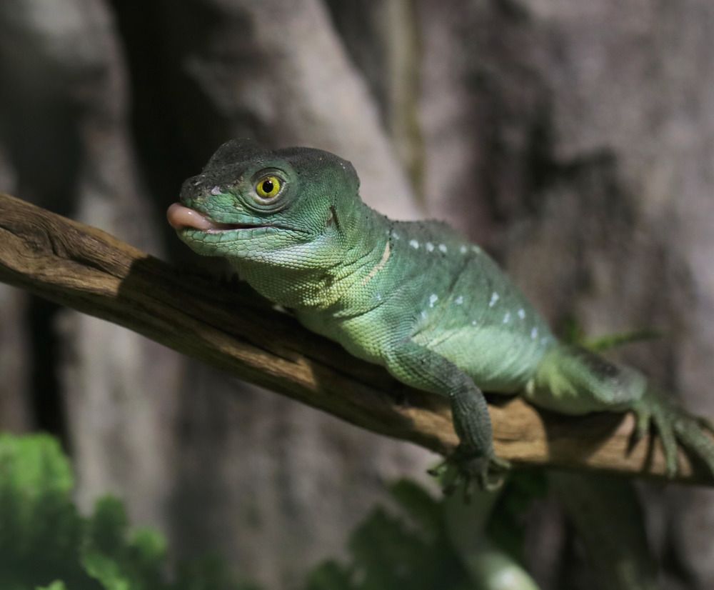 Photograph by Ирина Салминен