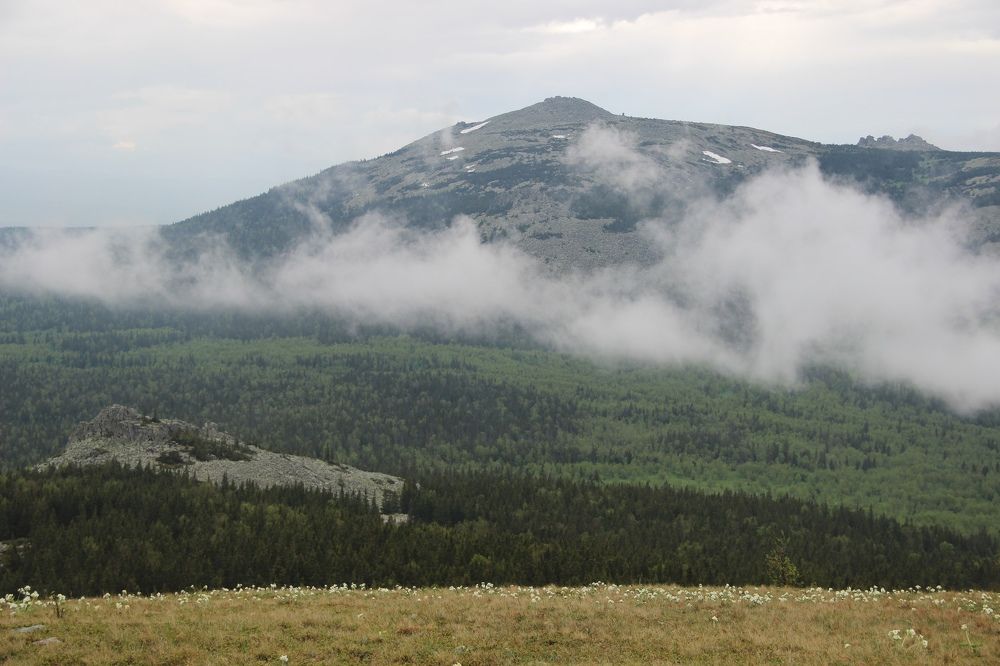 Photograph by Сырчикова Наталья