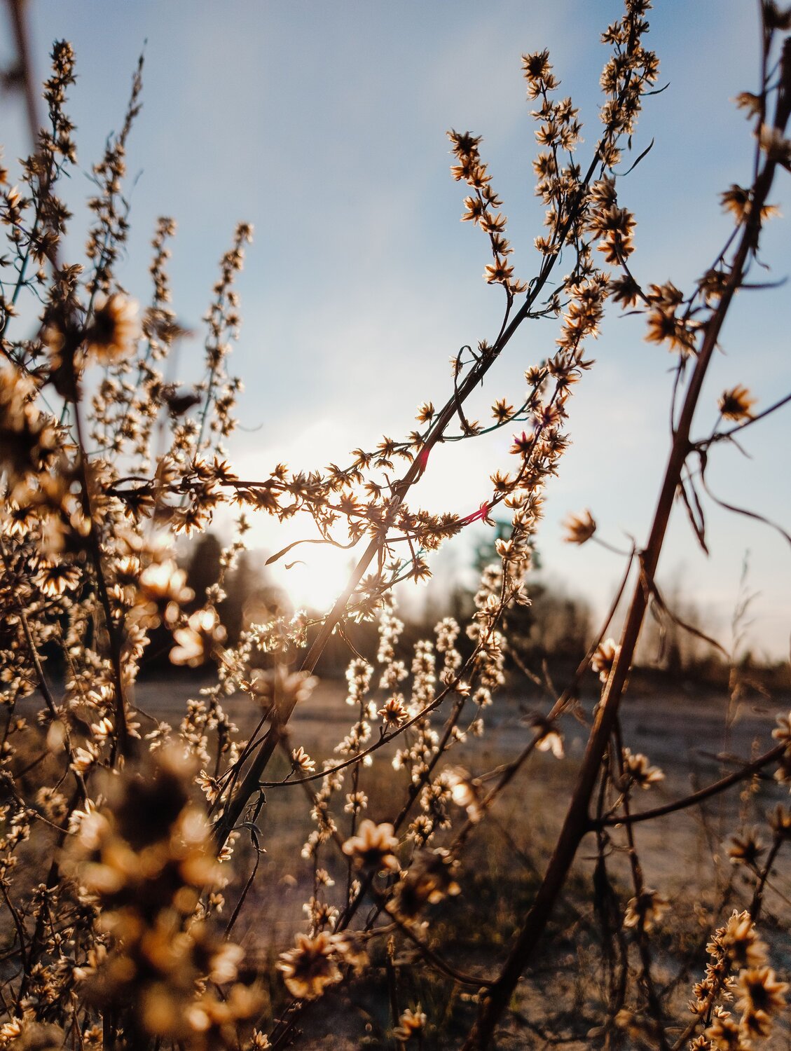 Photo #9170041