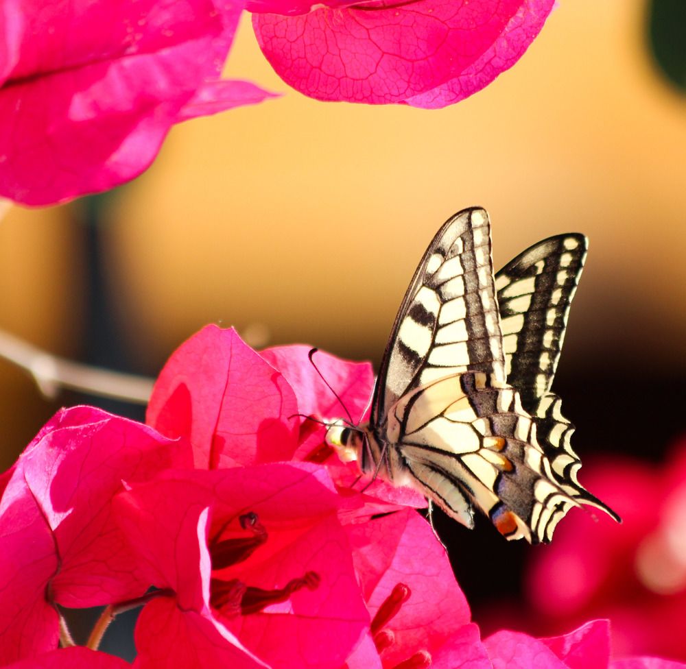 Photograph by Марина Горшкова