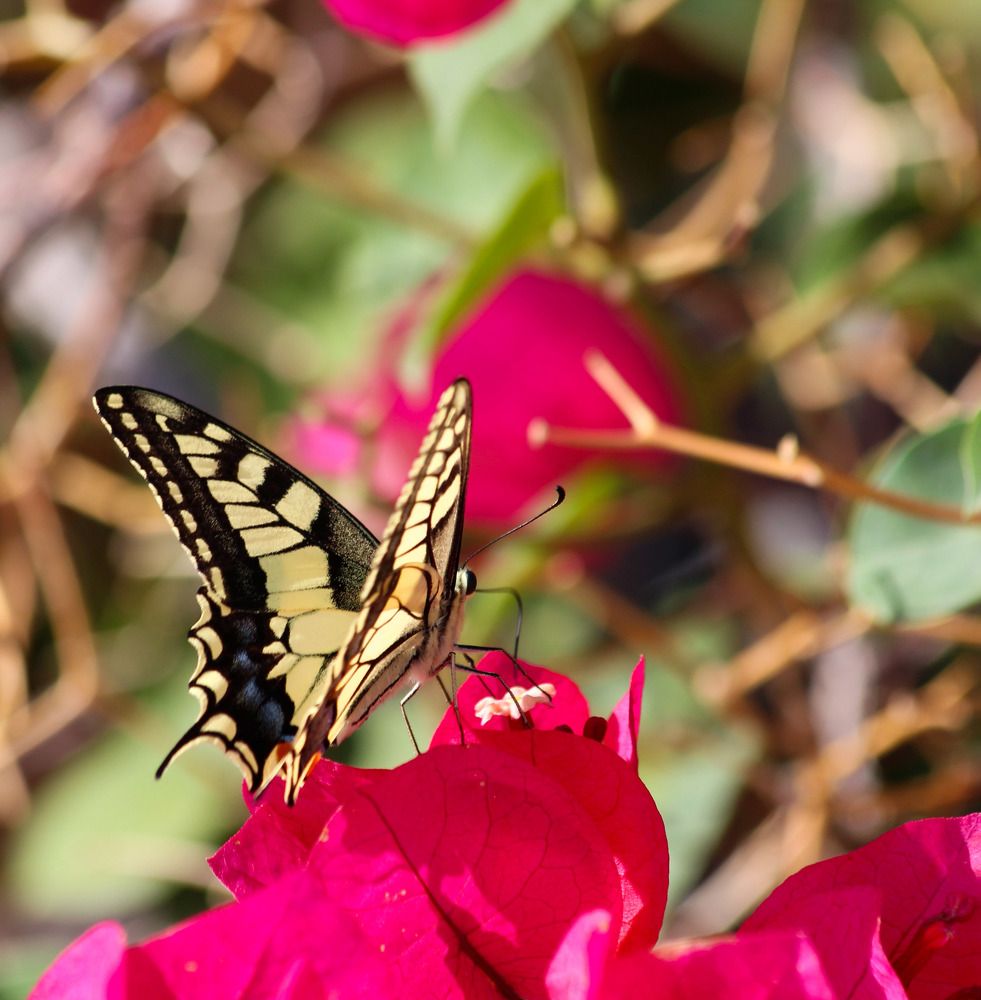 Photograph by Марина Горшкова