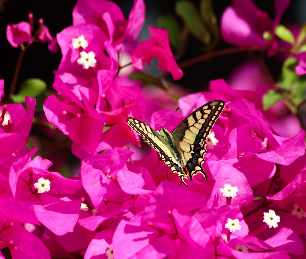 Photograph by Марина Горшкова