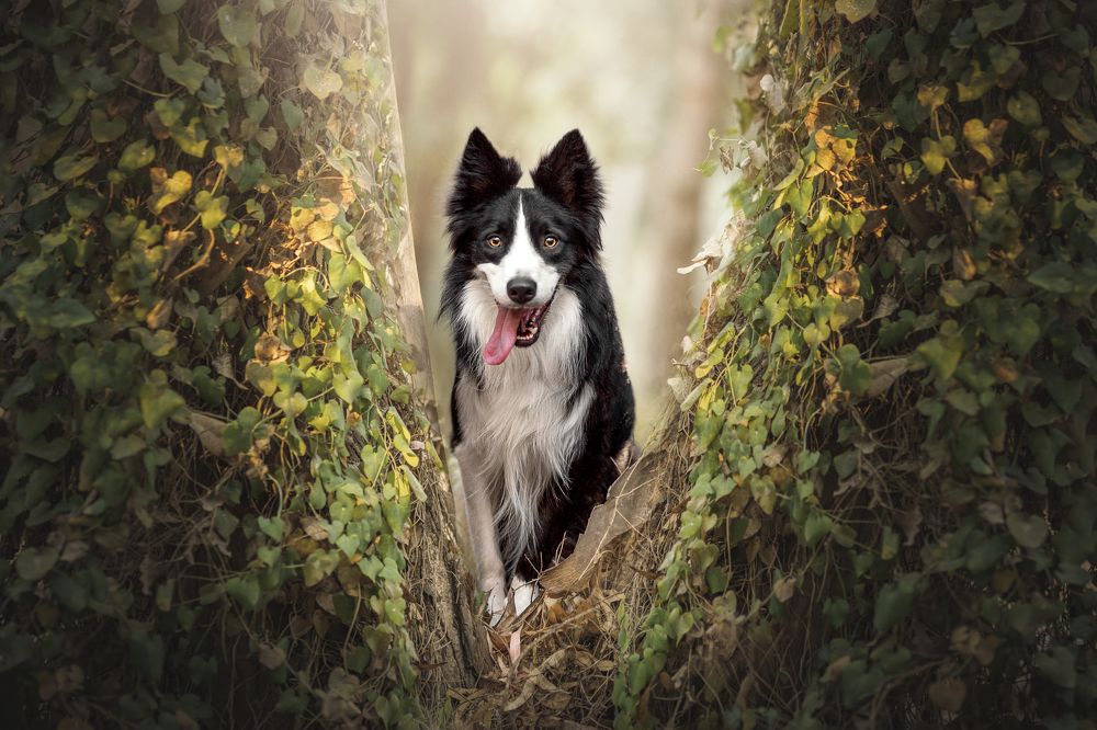 Фотография автора Ana Sánchez