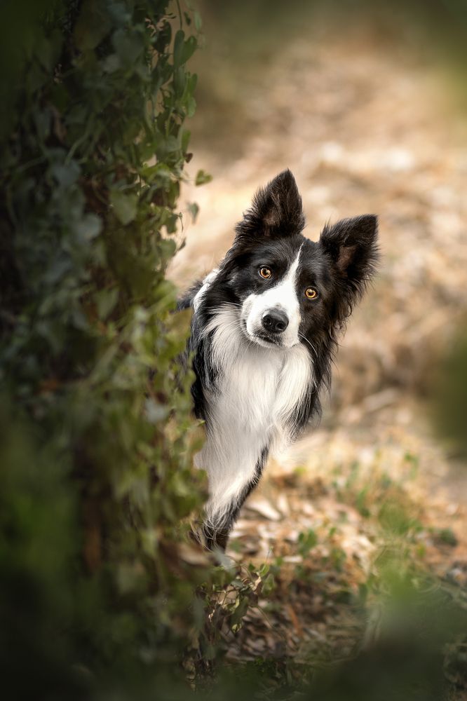 Фотография автора Ana Sánchez