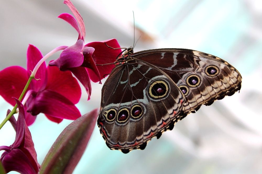 Photograph by Liliana Szacsko
