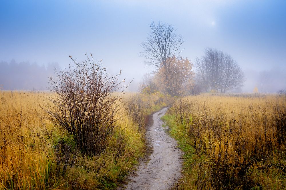 Photograph by Алексей Трифонов