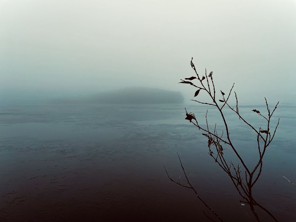 Photograph by Ilya Merkulov