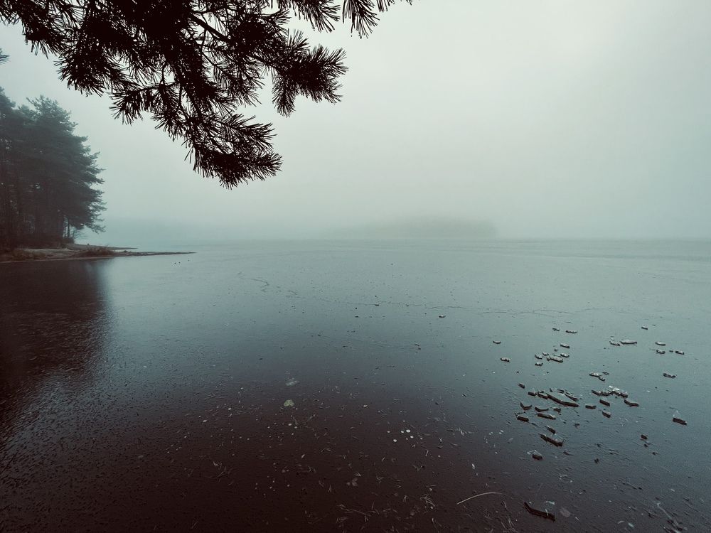 Photograph by Ilya Merkulov