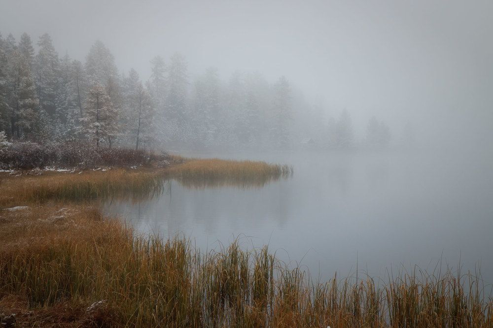 Photograph by Морозов Сергей