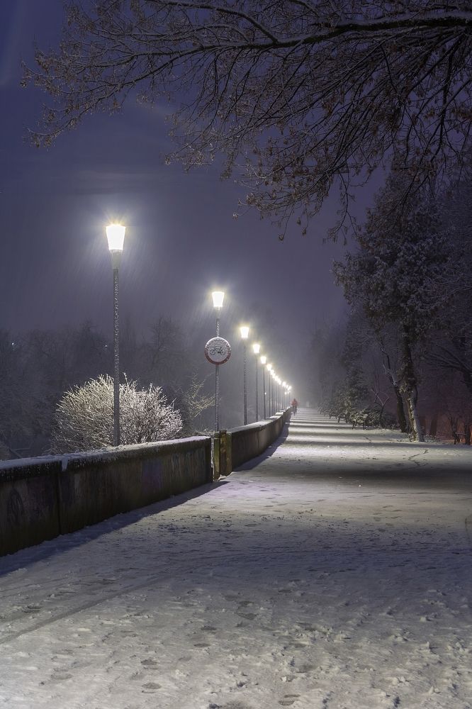 Photograph by Daniel Boca