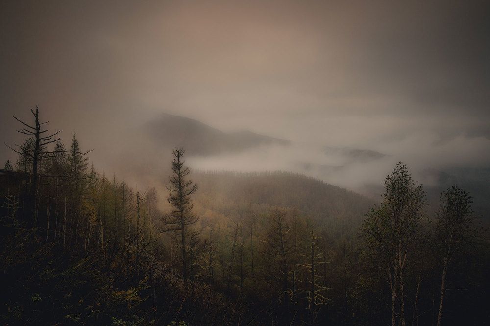 Photograph by Морозов Сергей