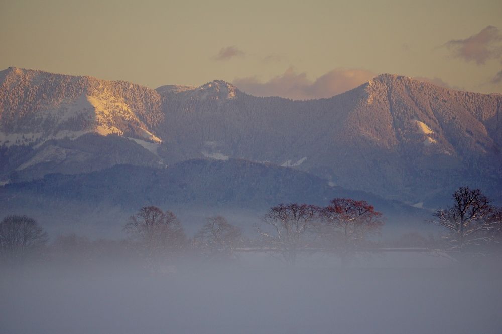 Фотография автора Liudmila Kiermeier