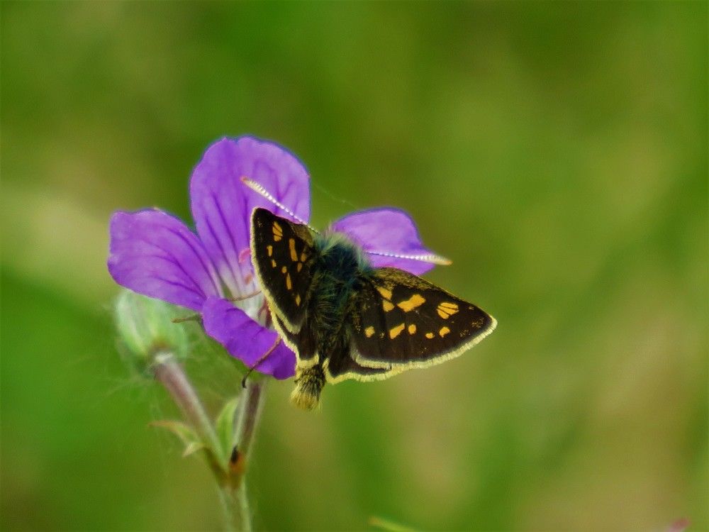 Photograph by Людмила Кононова