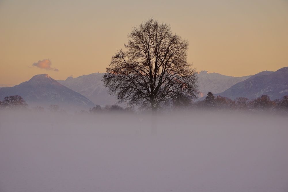 Фотография автора Liudmila Kiermeier