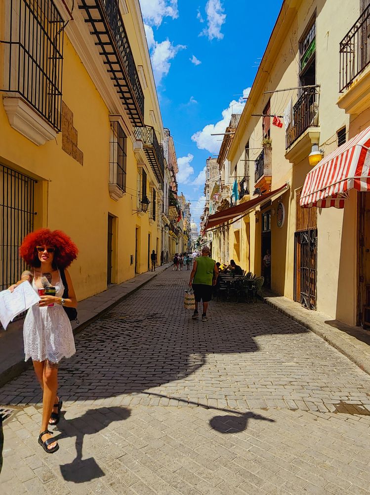 Фотография автора Al