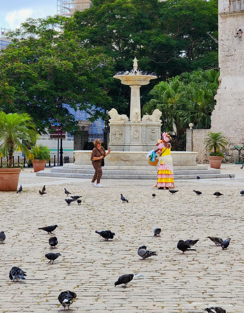 Фотография автора Al