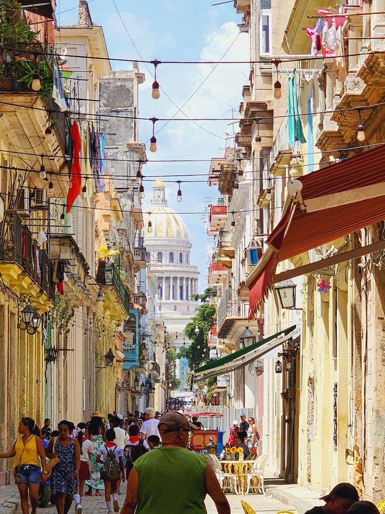 Фотография автора Al