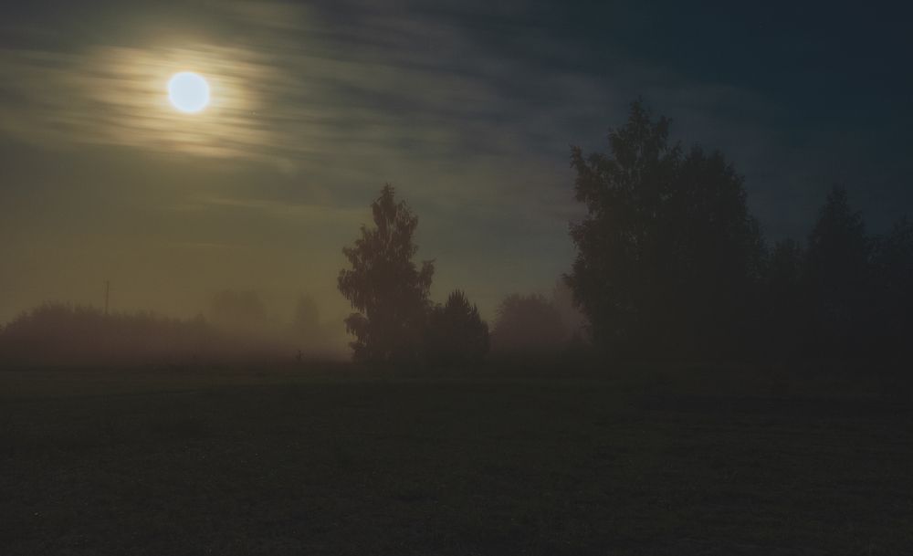 Фотография автора Марис Анкевицс